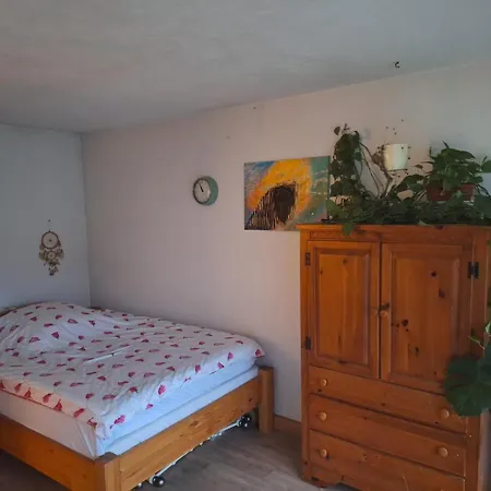 Проживание в семье Haus